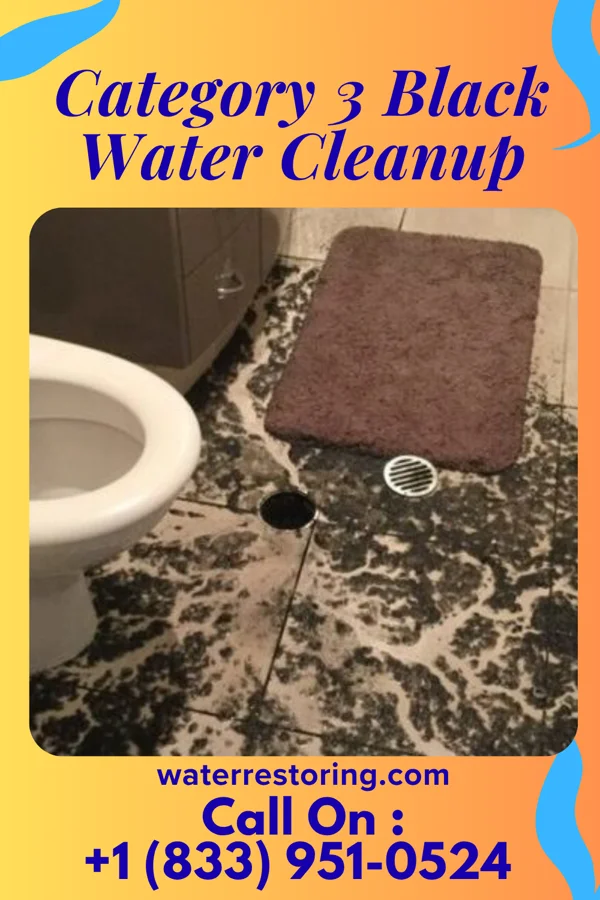 Category 3 Black Water Cleanup in Queensland, MD